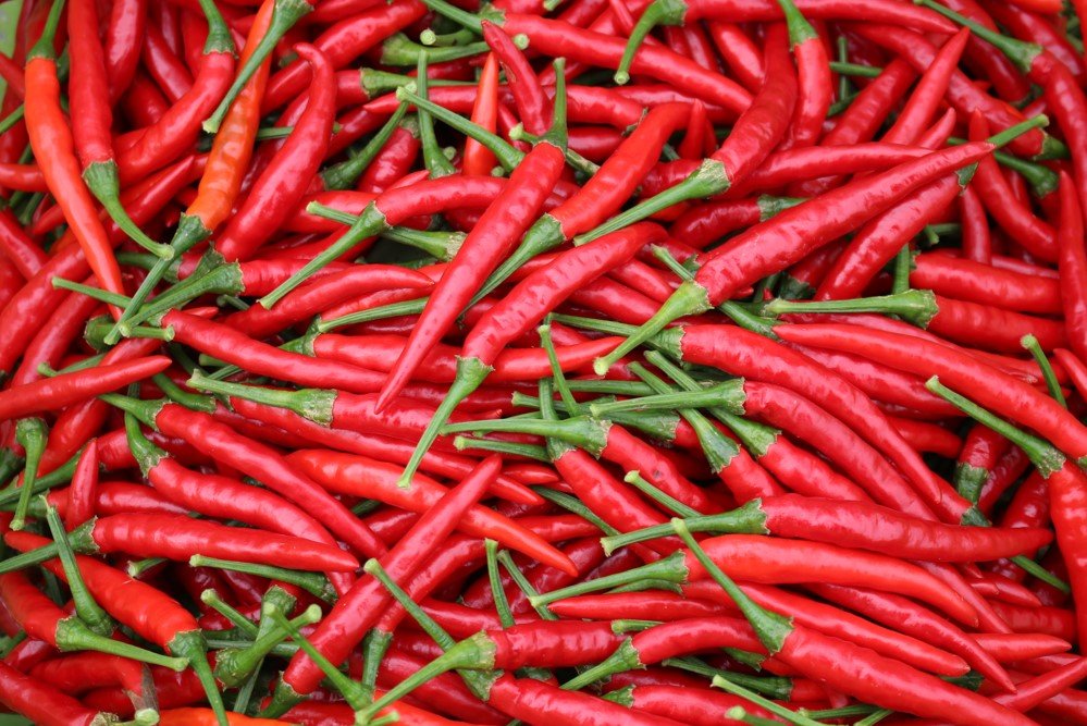 พริก (Chili) พริก (Chili)