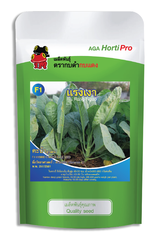 เมล็ดคะน้า แรงเงา ซอง 50 g.