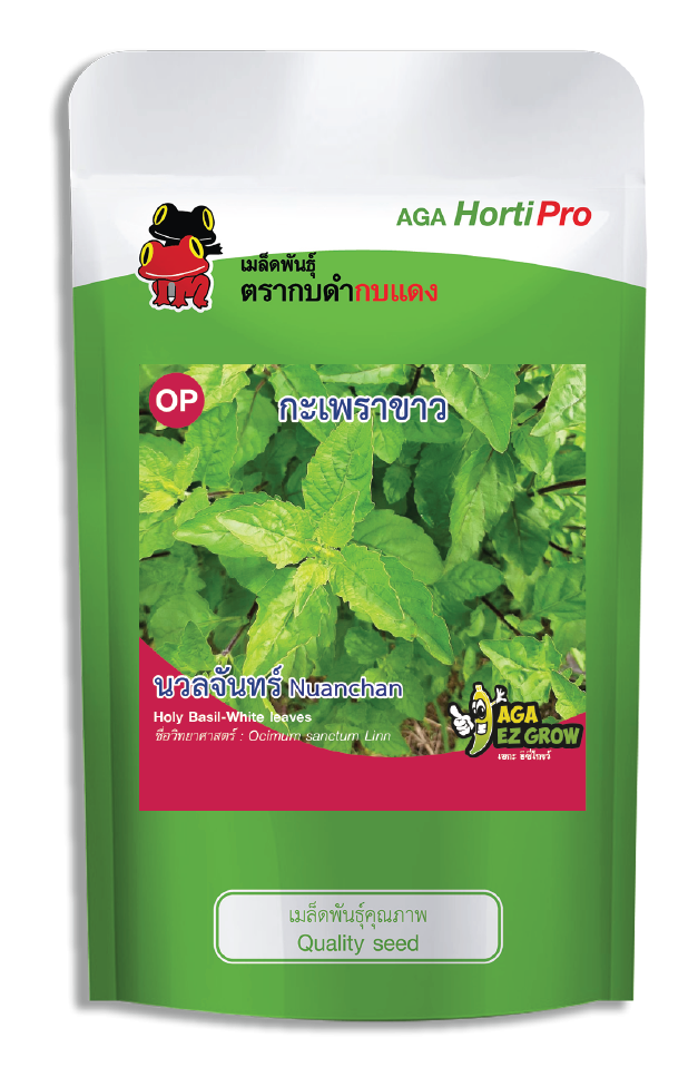 เมล็ดกะเพราเขียว นวลจันทร์ ซอง 20 g.