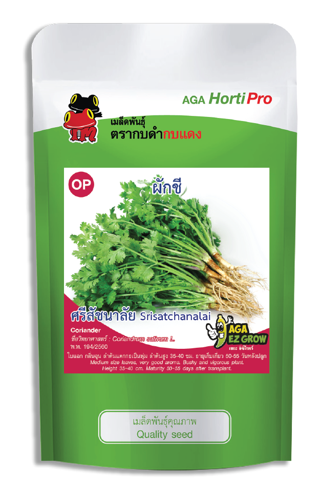 เมล็ดผักชี ศรีสัชนาลัย ซอง 50 g.