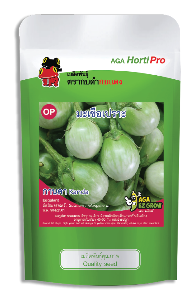 เมล็ดมะเขือเปราะ กานดา ซอง 20 g.