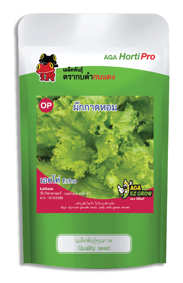 เมล็ดผักกาดหอม เอคโค่ ซอง 50 g.