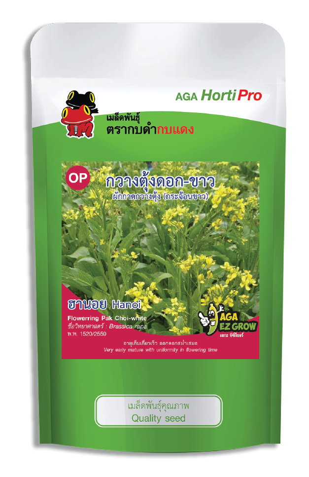 เมล็ดกวางตุ้งดอกขาว ฮานอย ซอง 100 g.