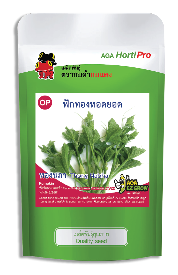 เมล็ดฟักทองทอดยอด ทองนภา ซอง 50 g.