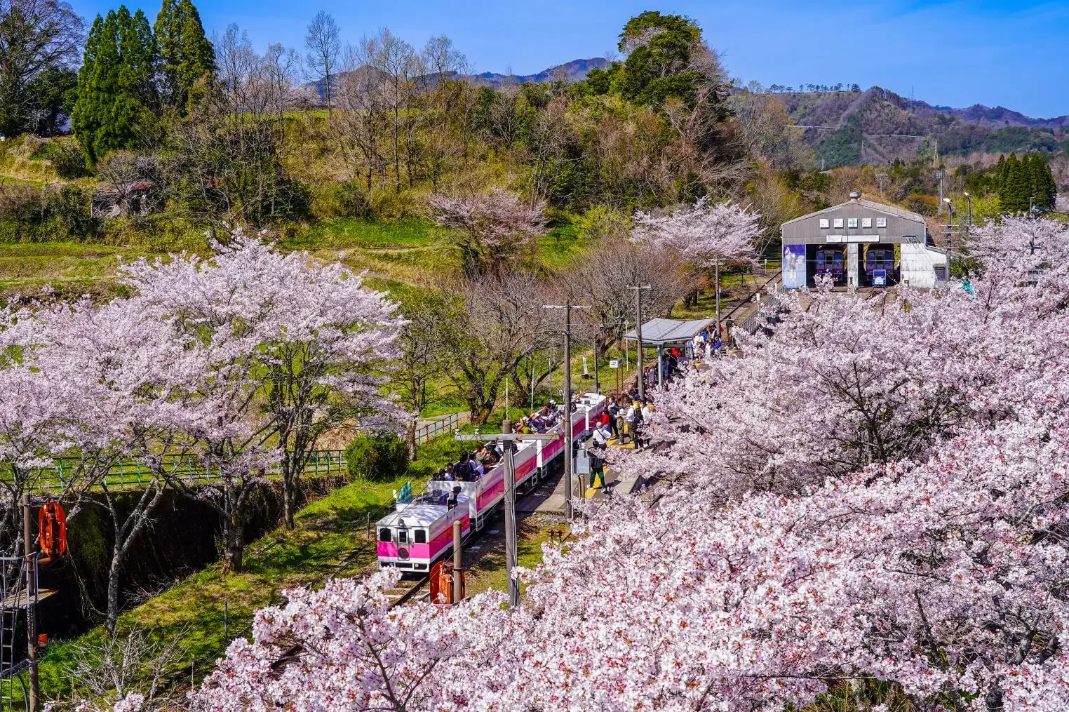 Takachiho Amaterasu Railway