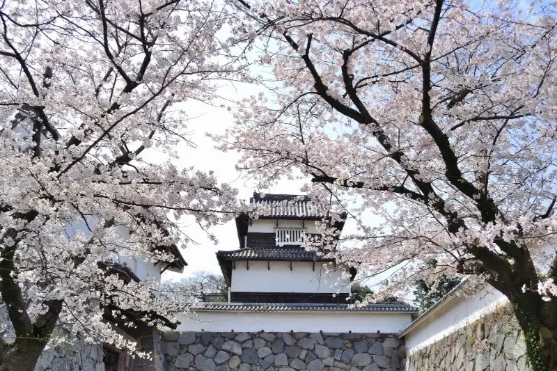 สวนไมซูรุ เมืองฟุกุโอกะ