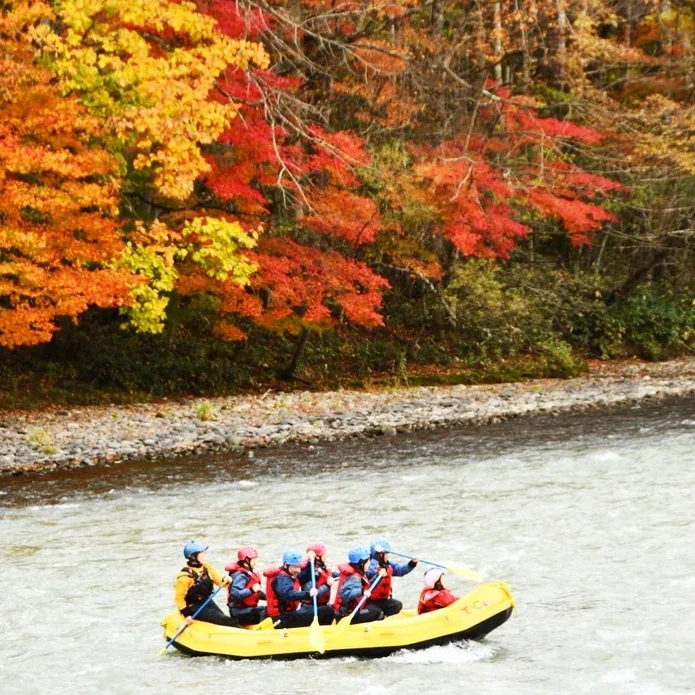 Tokachi River forest scenery