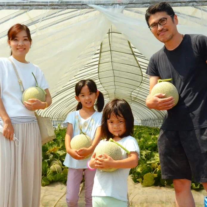 ชิมเมลอนฟุราโนะที่ฟาร์ม