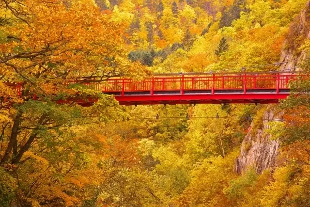 Jozankei Autumn