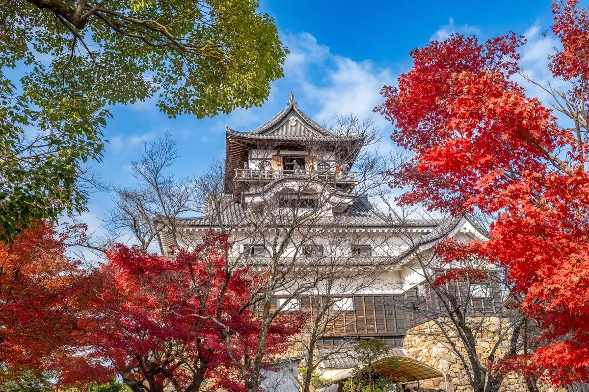 Inuyama Castle