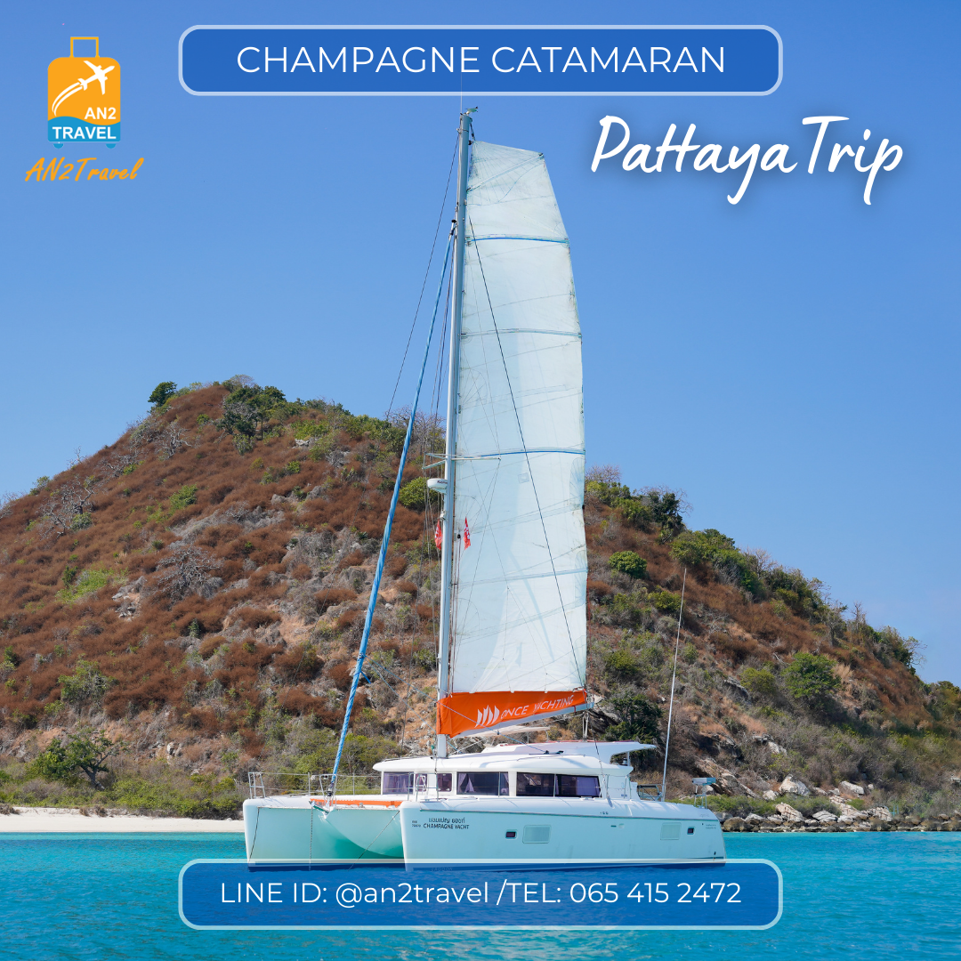 Champagne catamaran slide and water activities