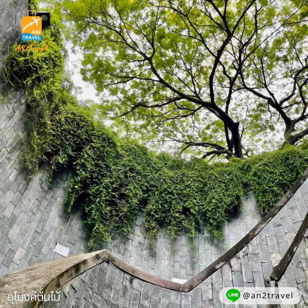 Fort Canning Tree Tunnel