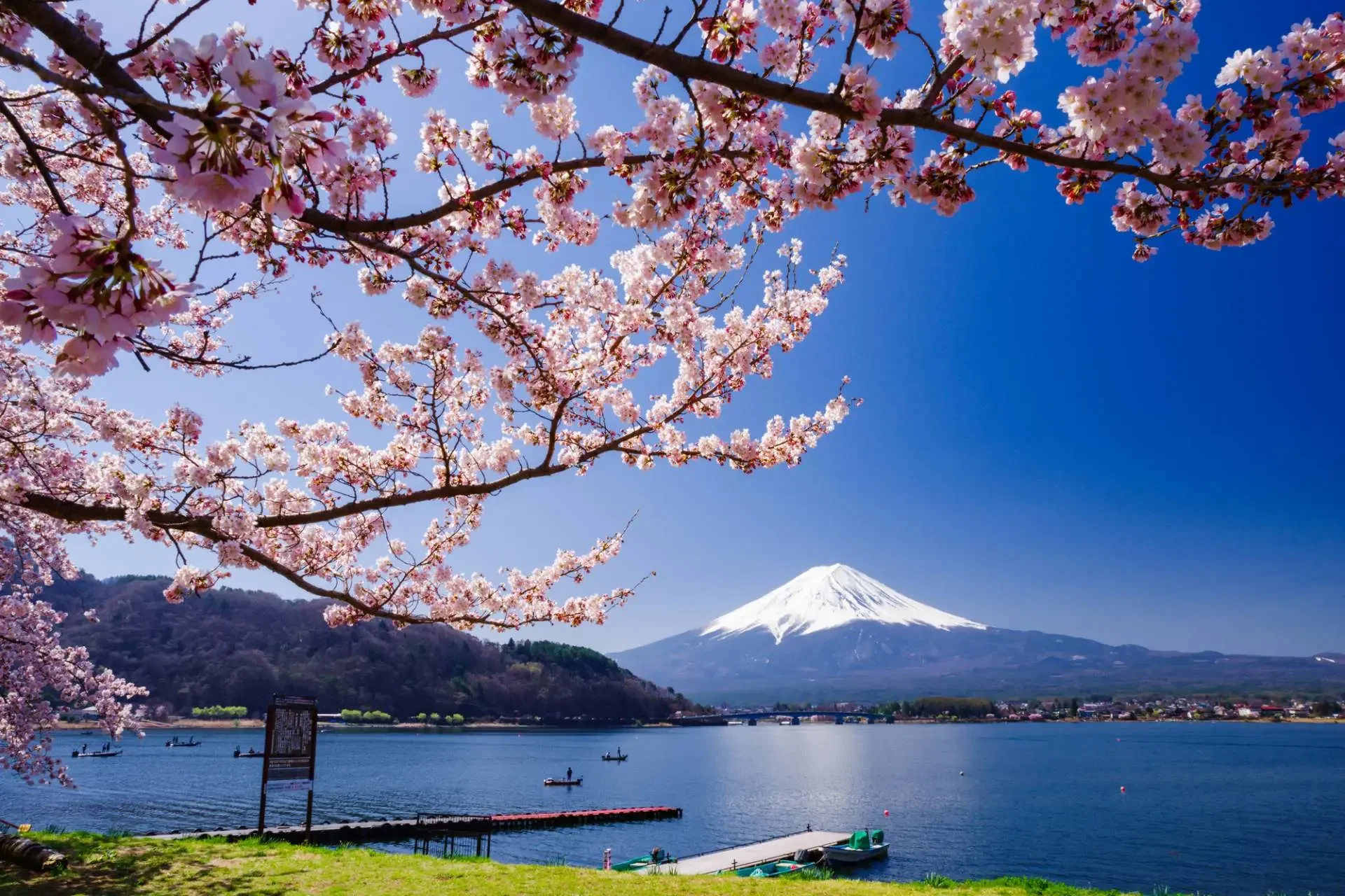 Lake Kawaguchiko and Mount Fuji
