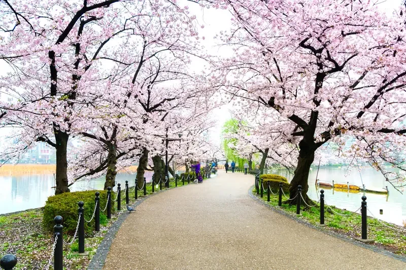 สวนอุเอโนะ โตเกียว