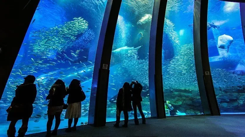 Yokohama aquarium