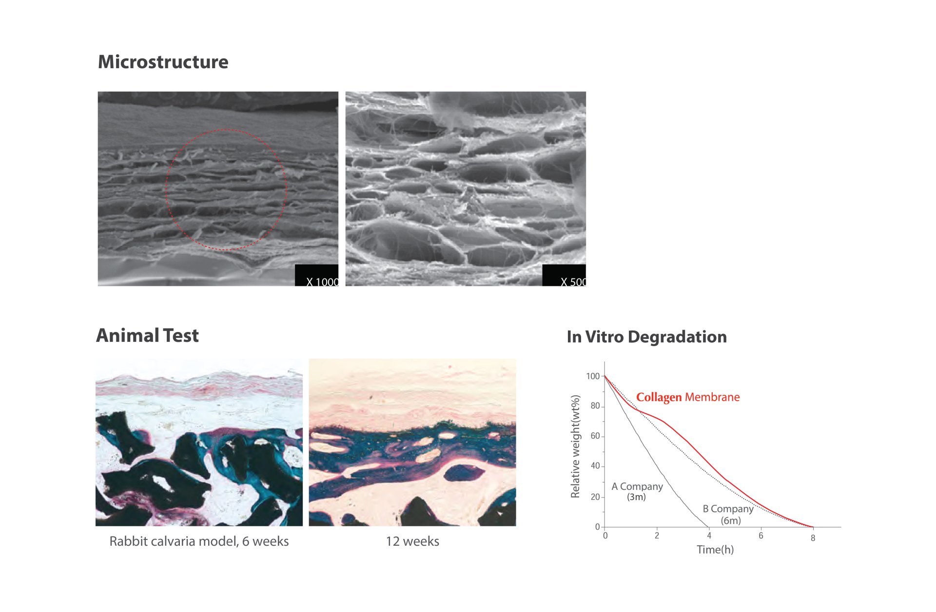 Collagen Membrane dentiumthailand