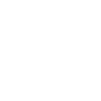 icon_why_27_ff-04.png