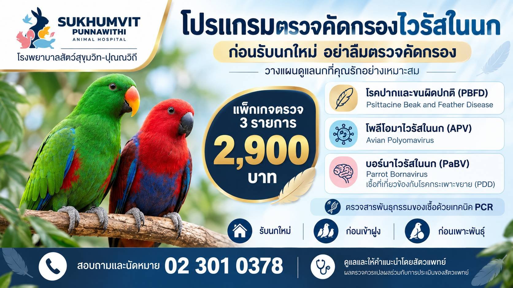 โปรแกรมตรวจไวรัส 3 โรคในนก