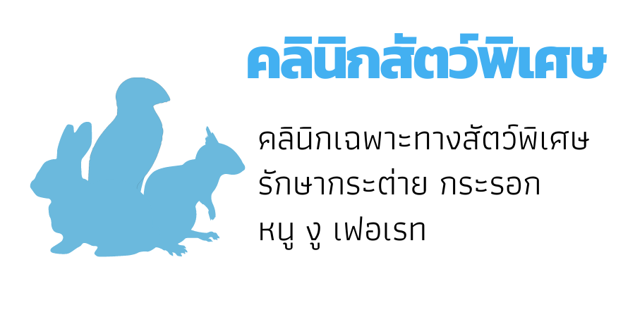 คลินิกสัตว์พิเศษ(Exotic Pets Clinic)