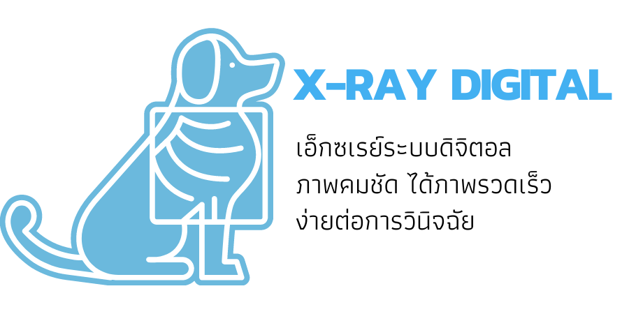 X-ray Digital