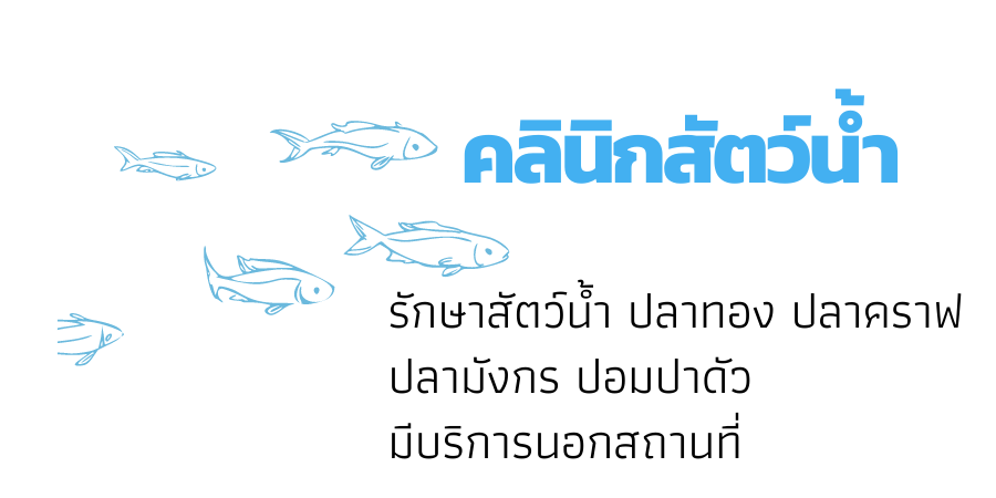 คลินิกสัตว์น้ำ(Aquatic Pets Clinic)