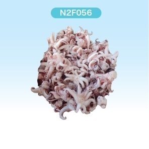 Frozen Squid Head ( N2FRESH BRAND )