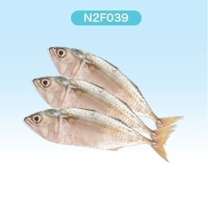 Fresh frozen mackerel ( N2FRESH BRAND )