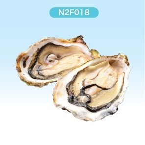 Frozen oysters ( N2FRESH BRAND )