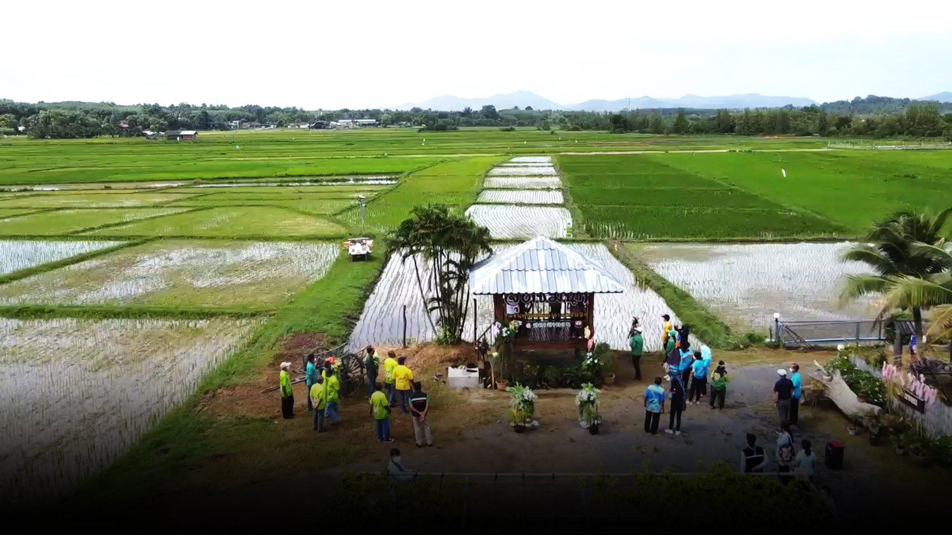 เตรียมตัวก่อนพร้อมกว่า "ซันกิ่ว" แนะนำวิธีเขียนแผนธุรกิจของบประมาณจากกรมการข้าว พ.ศ. 2566