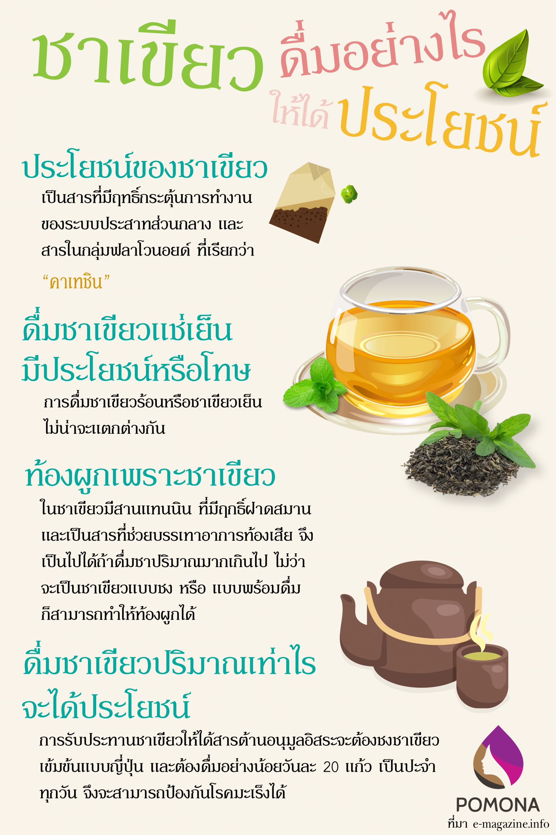 ชาเขียว ดื่มอย่างไรได้ประโยชน์