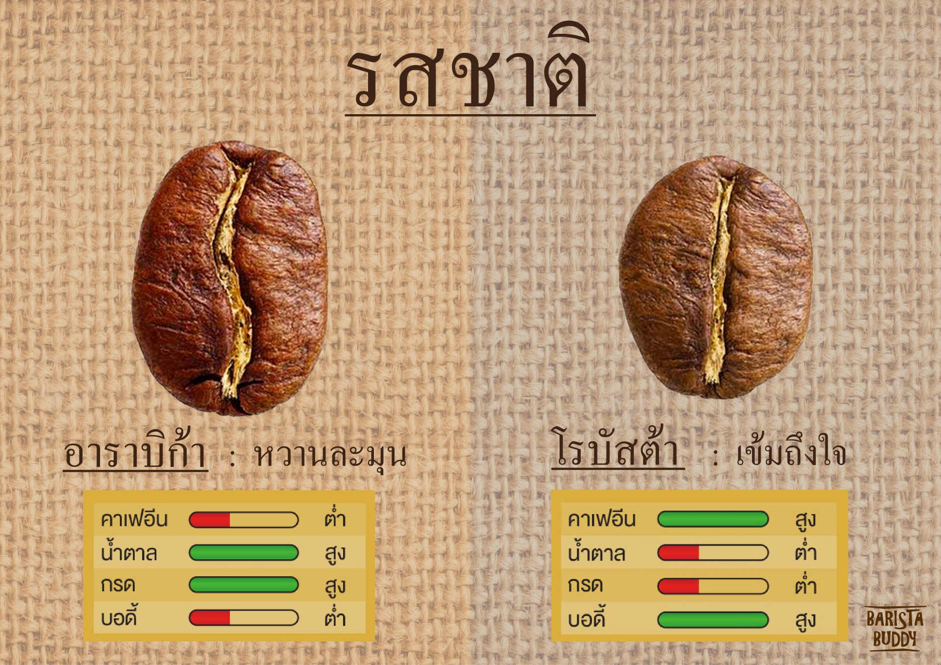 ความแตกต่างทางด้านรสชาติของ Arabica และ Robusta