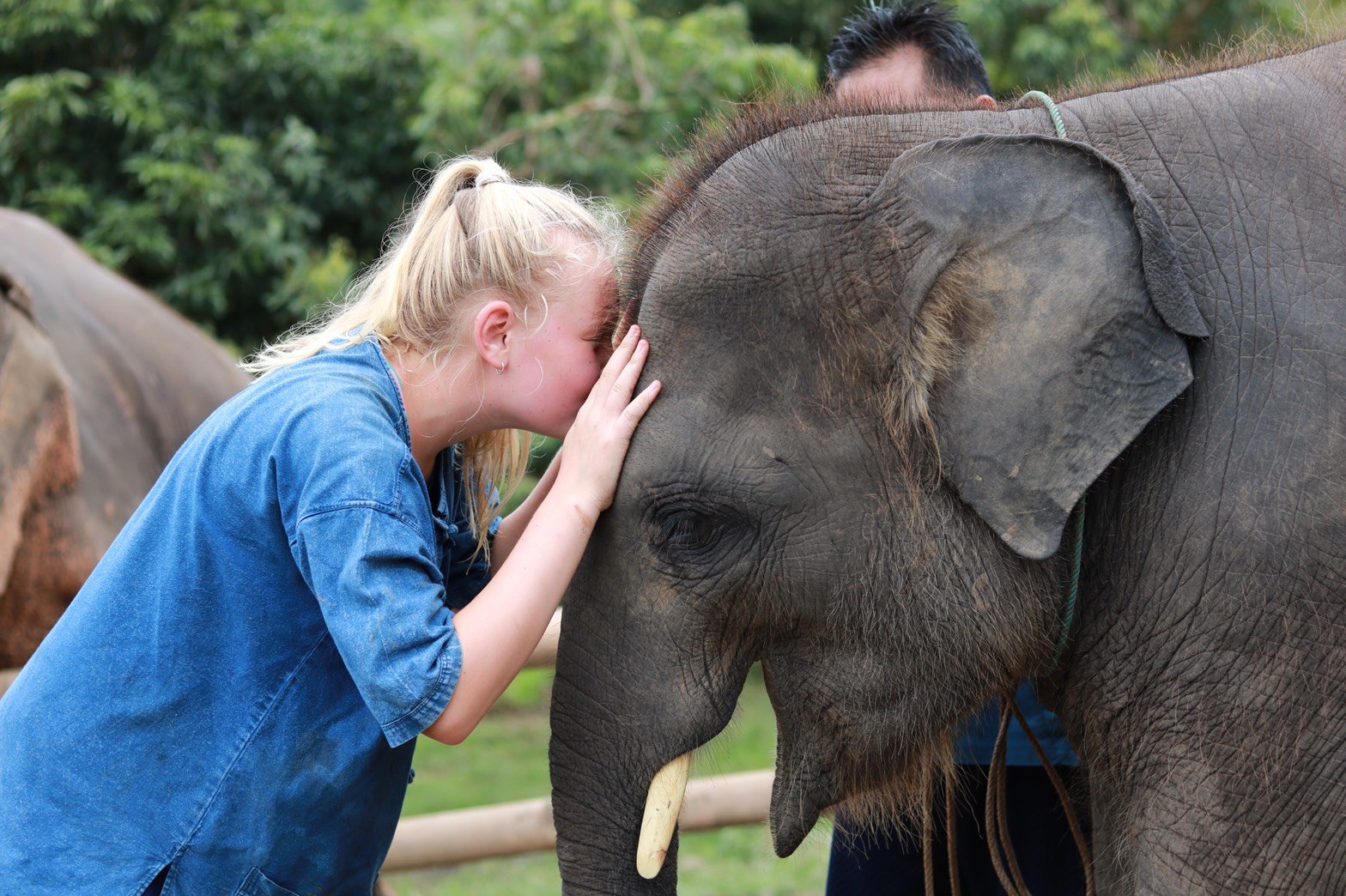 Full Day visit and Support at Eco Elephant Care