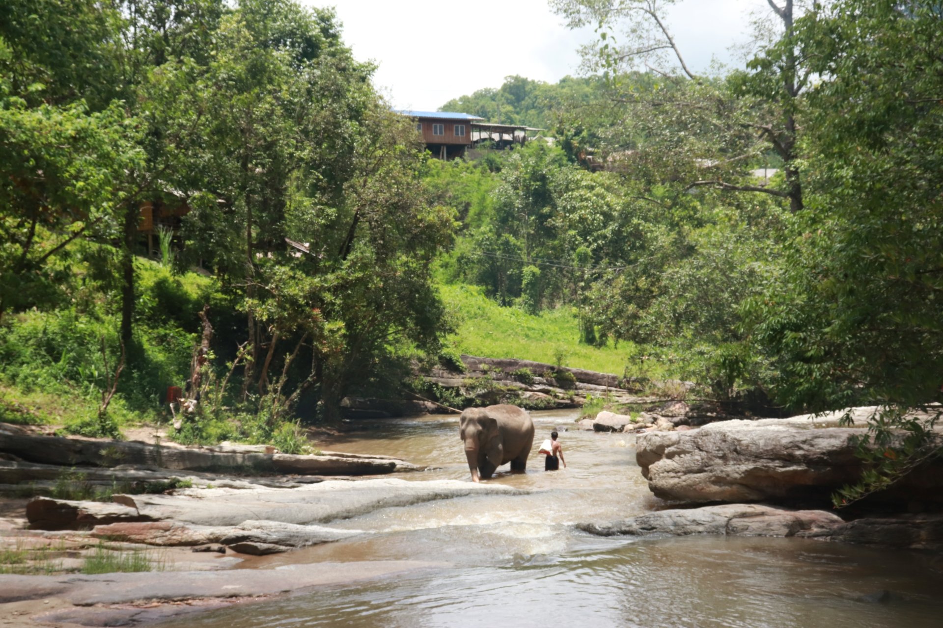 One Day Experience Trek Sanpatong (Mae Win area)
