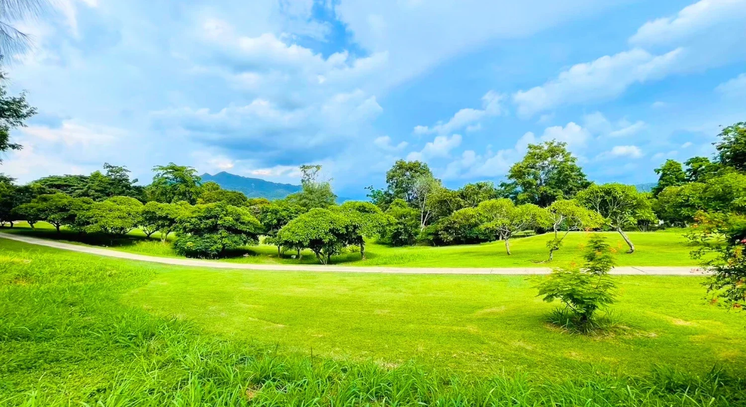 ที่ดินเขาใหญ่ 8