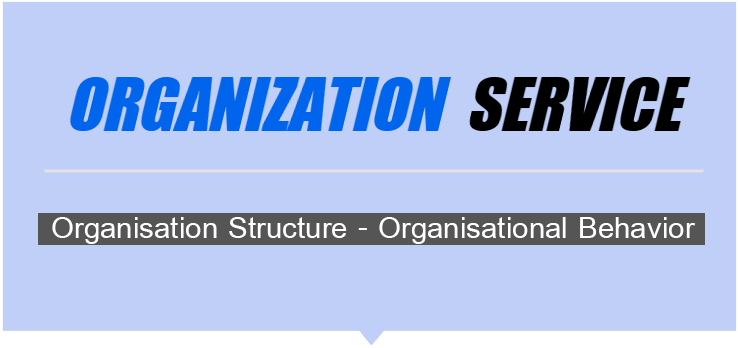 organization service 