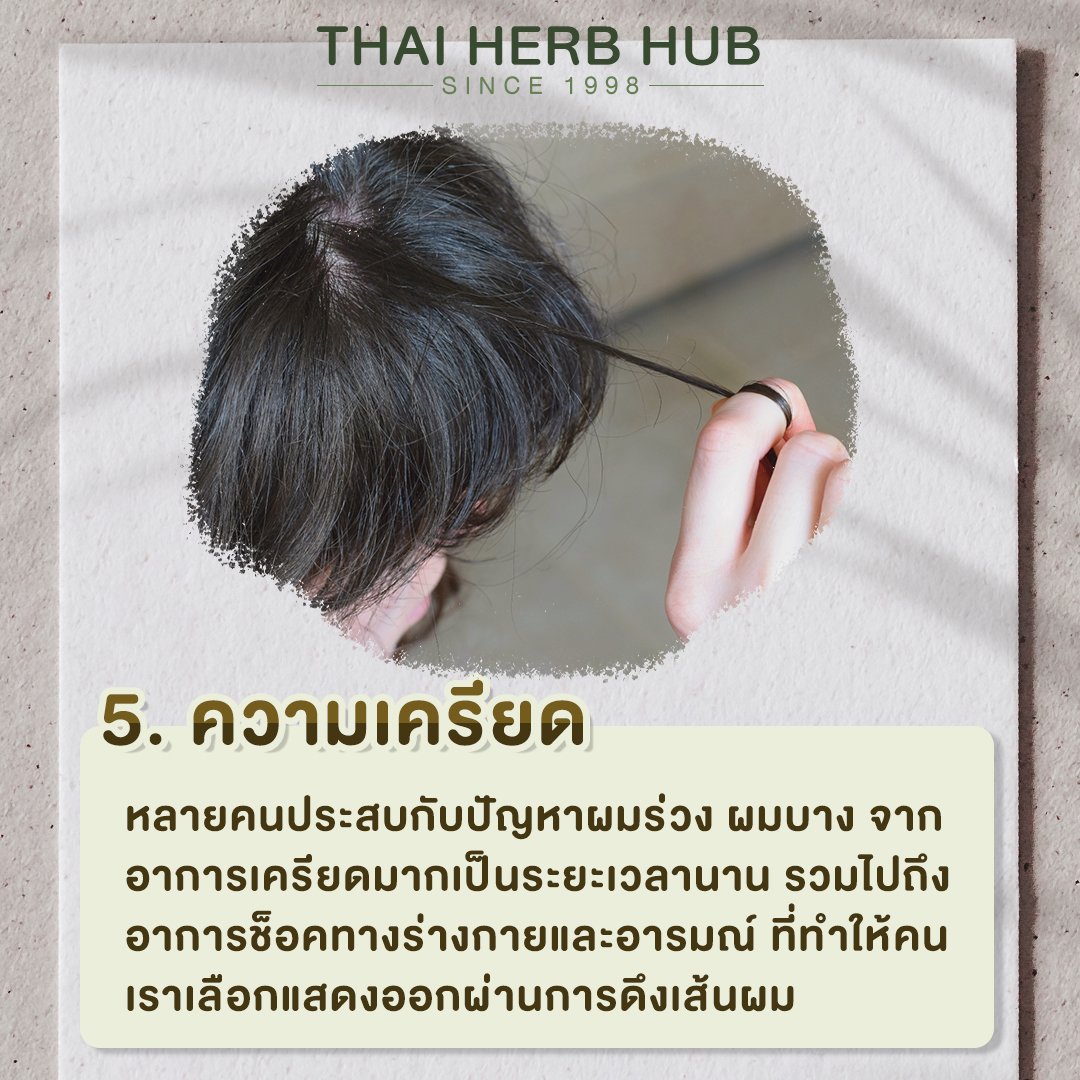 รู้ทัน ‼️ สาเหตุของผมร่วง พร้อมกับวิธีรับมือ - Herbforhair