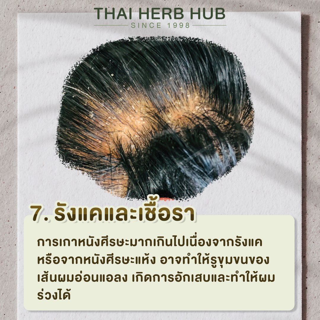 รู้ทัน ‼️ สาเหตุของผมร่วง พร้อมกับวิธีรับมือ - Herbforhair