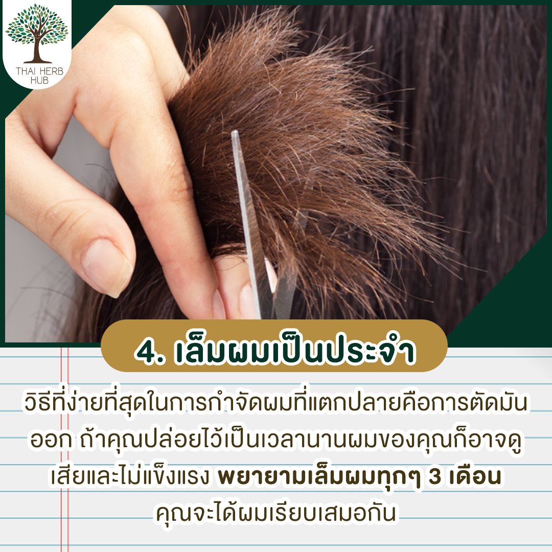 4 วิธีเปลี่ยนผมเสีย เป็นผมสวย - Herbforhair