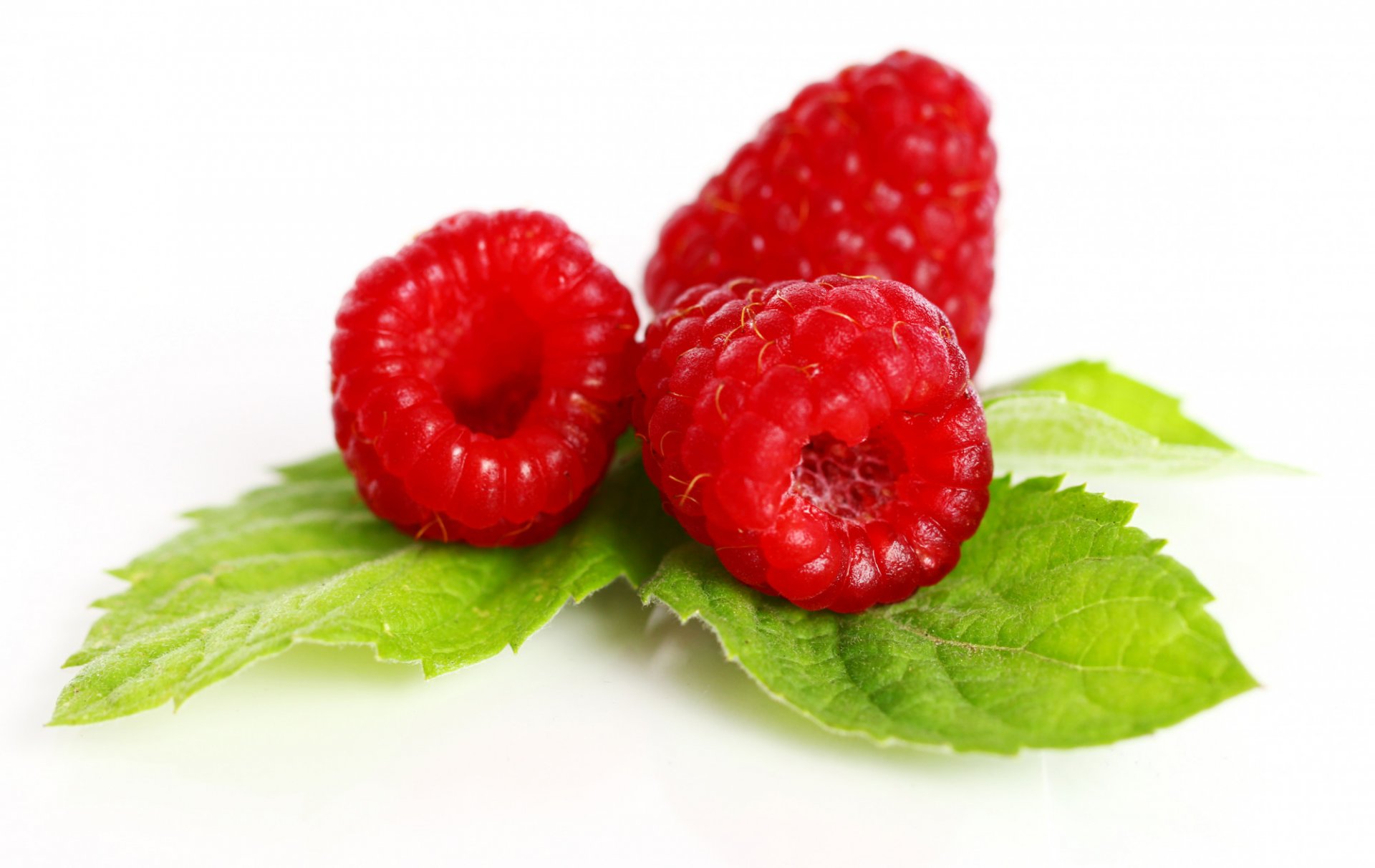 กลิ่นราสเบอร์รี่(AW11040) Raspberry Flavor