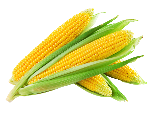 กลิ่นข้าวโพด(WT74216) Corn flavour
