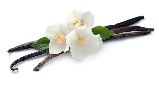 กลิ่นวานิลลา(AW33005) Vanilla flavour