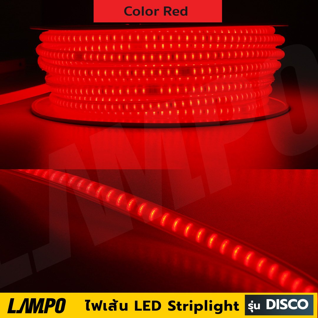 ไฟเส้น LED Striplight รุ่น DISCO"Single /RGB" lampo