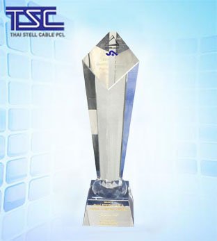 Siam Aisin 2017 The Best Quality & Delivery Performance Supplier Award