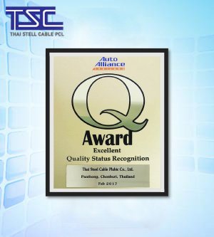 2017 Q Award Excellent Quality Status Recognition