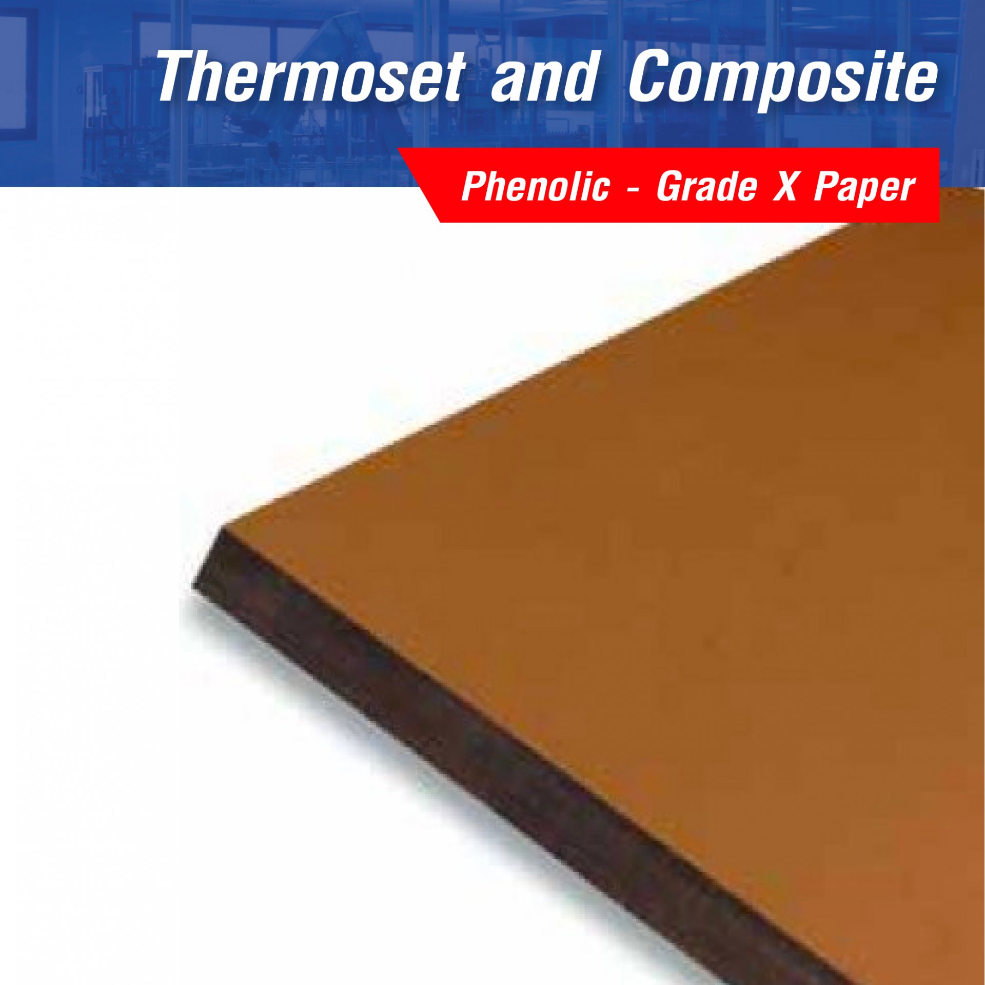 Thermoset and Composite