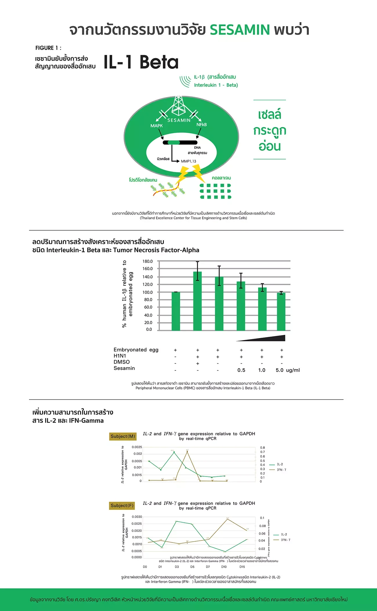 งานวิจัยเอมมูร่าเซซามิน งานวิจัยเอมมูร่าเซซามิน