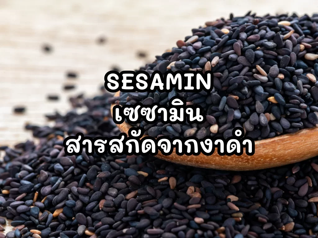 SESAMIN_เซซามิน_สารสกัดจากงาดำ.webp