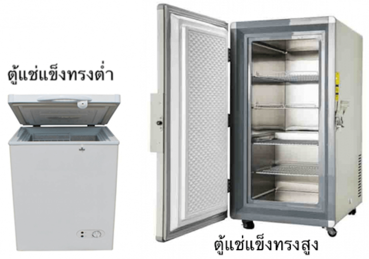 ตู้แช่แข็งคืออะไร ตู้แช่แข็งคืออะไร