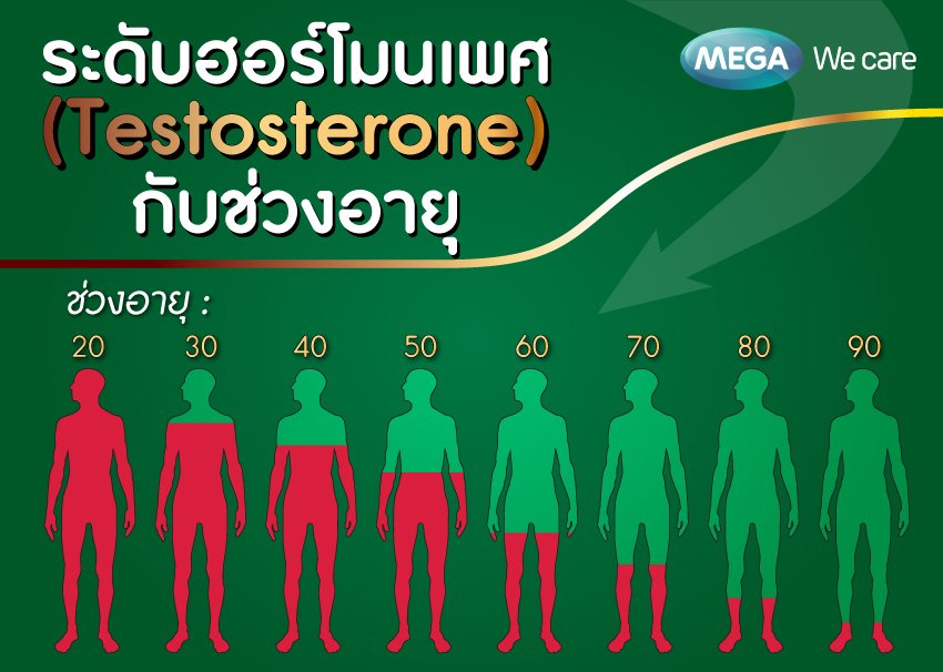 ฮอร์โมนเพศเพิ่ได้ง่ายๆ ด้วย 6 วิธีธรรมชาติ - Mega We Care - Megawecare