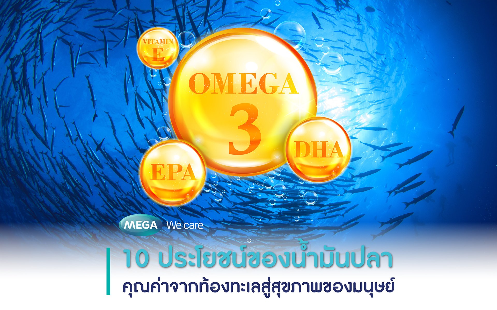 10 ประโยชน์ของน้ำปลาคุณค่าจากท้องทะเลสู่สุขภาพของมนุษย์